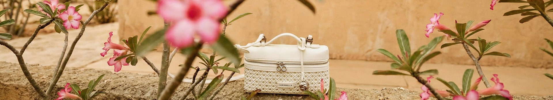 Soluzioni integrate AOPIYA — agenzia, wholesale e OEM